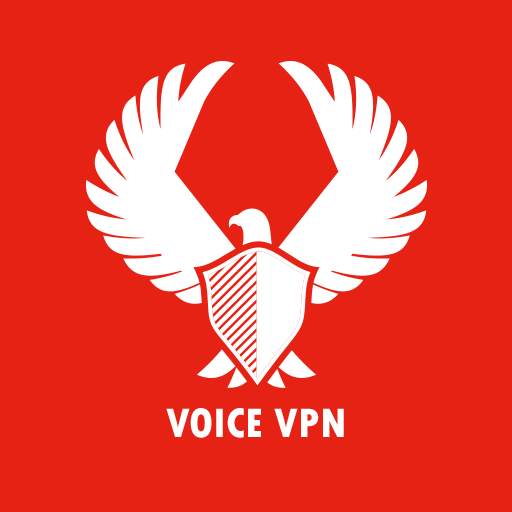 Voice VPN 1.0
