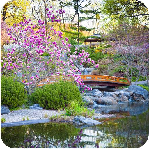 Garden Wallpaper 1.0