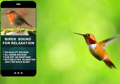 Bird Sounds For Relaxation screenshot 2