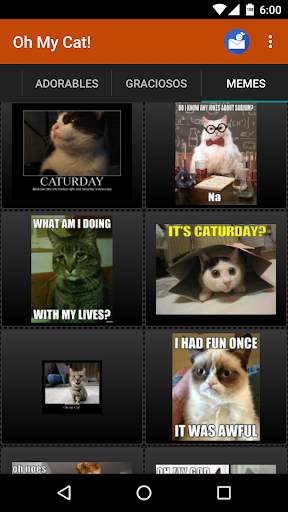 Gatos Fondos y fotos graciosas screenshot 5