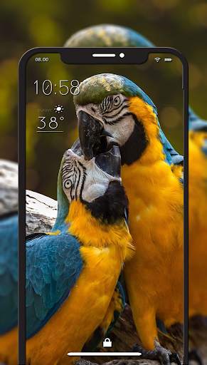 Bird Wallpaper – HD Wallpaper screenshot 4
