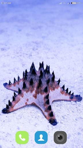 Starfish Wallpaper 4K screenshot 6