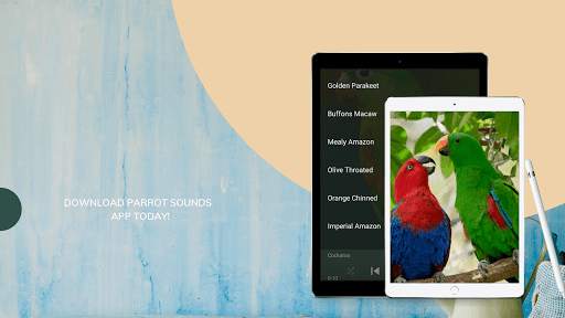 Parrot Sounds screenshot 3