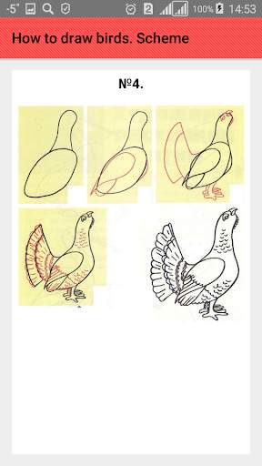 How to draw birds. Scheme screenshot 5