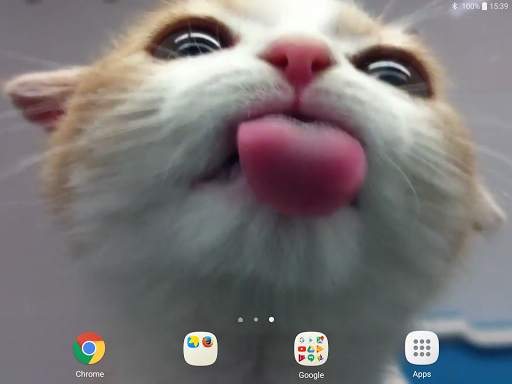 Cat Lick Screen Live Wallpaper screenshot 9