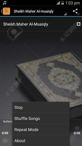 Surah An-Nur mp3 screenshot 5