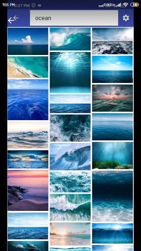 IMAGE DOWNLOADER screenshot 2