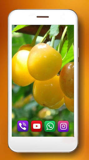 Berries and Fruits Live Wallpaper screenshot 5