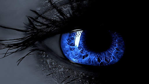 Blue Eyes. Hot Wallpapers screenshot 2