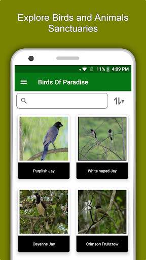 Brazil Travel & Explore, Offline Tourist Guide screenshot 5
