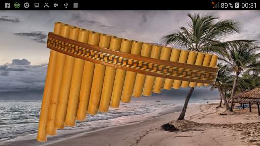 Music Instruments screenshot 5
