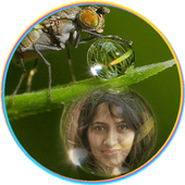 Dewdrops Photo Frames icon