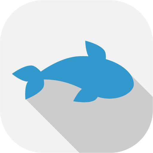 Koi 1.4