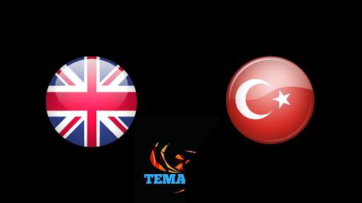 Temas VR screenshot 2