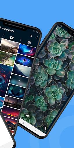 Image Search - Image Downloader - 4k Image Finder screenshot 2