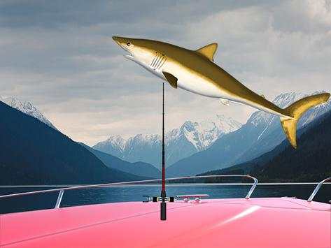 Fishing Shark Ace screenshot 5