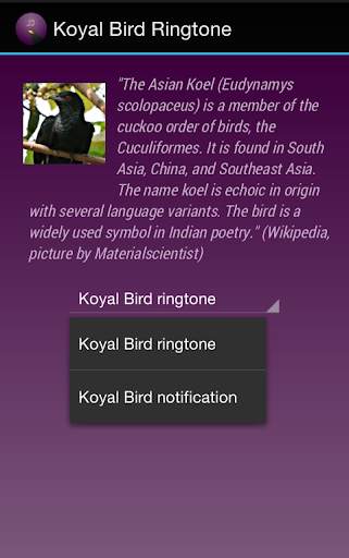 Koyal Bird Ringtone screenshot 2