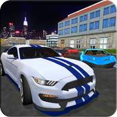 Car Drive Game - Free Driving Simulator 3D 1.0