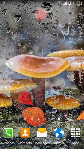 Mushrooms Live Wallpaper screenshot 1