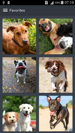 Dog Wallpapers screenshot 2