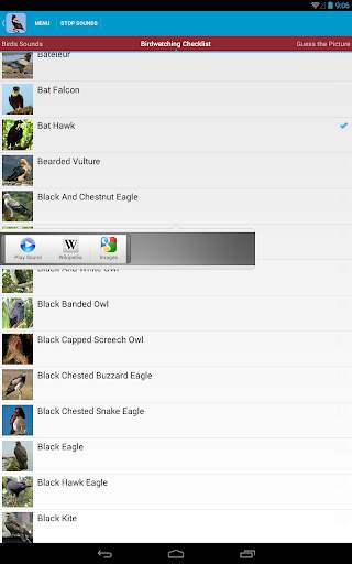 Birds of Prey Sounds Free screenshot 19