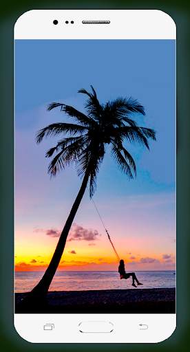 Palm Tree Wallpaper screenshot 12