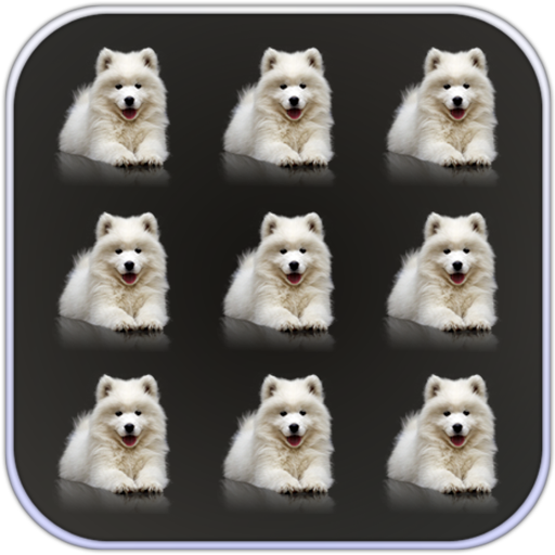 Pets Dogs Pattern Lock Screen icon