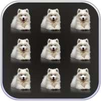 Pets Dogs Pattern Lock Screen