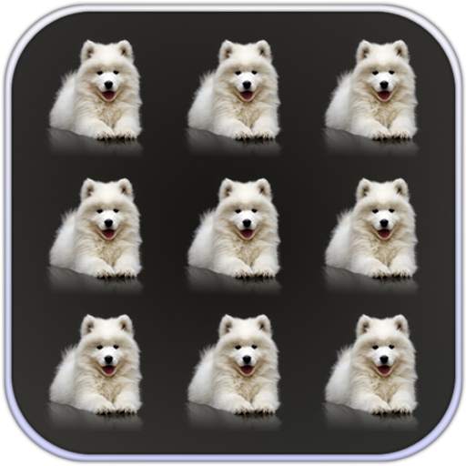 Pets Dogs Pattern Lock Screen 0.7