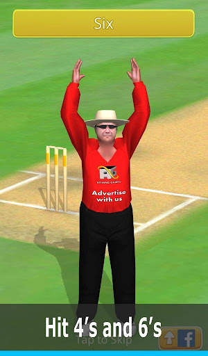 Smashing Cricket: cricket game screenshot 10