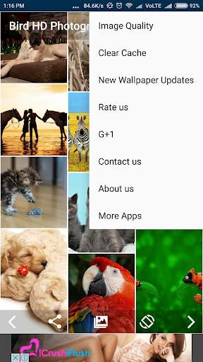 Bird & Animal HD Wallpaper screenshot 4