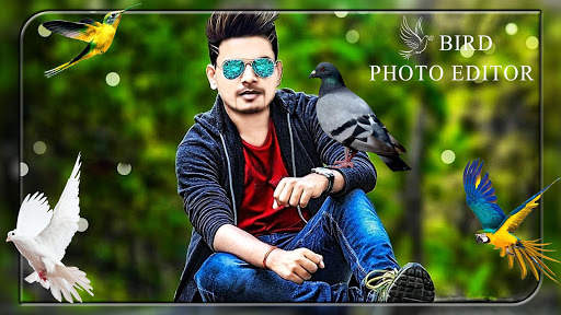 Bird Photo Editor screenshot 2