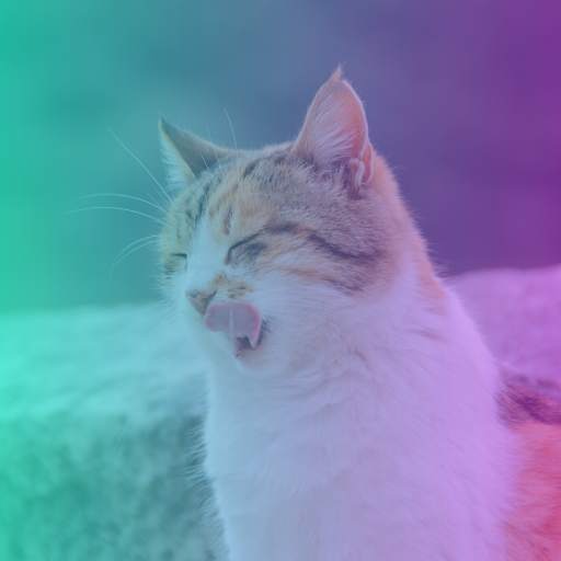 CORA Photo Editor screenshot 1