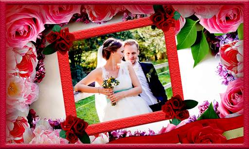 Peacock & Nature Photo Frames 15 تصوير الشاشة