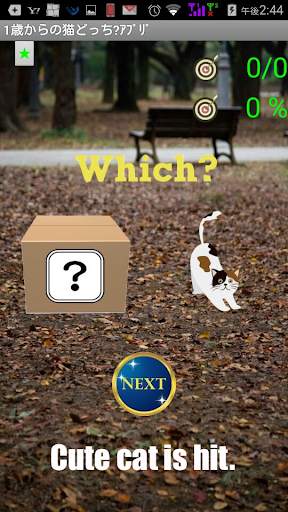 Cat App from One Year-Olds 1【for young children】 screenshot 3