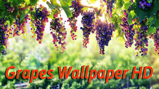 Grapes Wallpaper HD screenshot 1