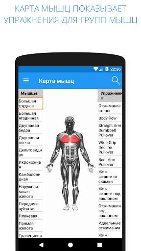 Моя тренировка - фитнес и упражнения, с весом тела скриншот 3