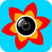 Flower Cam 1.0