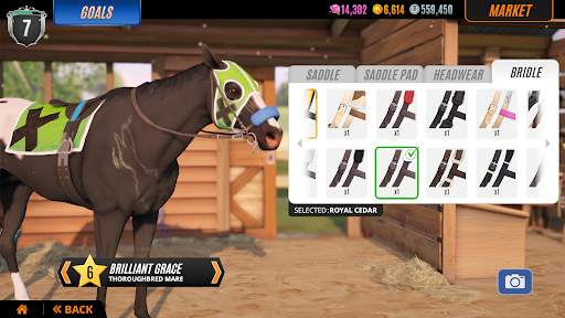 Rival Stars Horse Racing screenshot 6