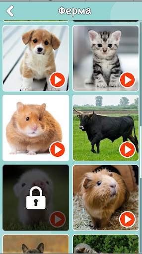 Animal Sounds, Animal Language, Animal Voice screenshot 12
