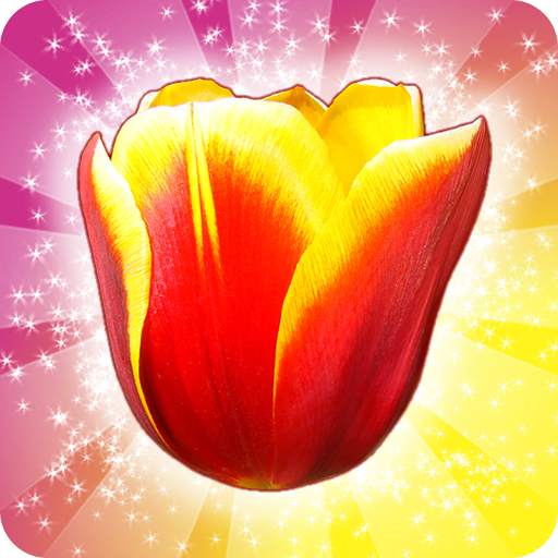 Tulip Crush 🌷 Match 3 Beautifully 🐝 Flower Game 2.0