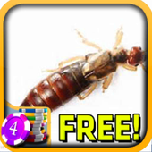 Earwig Slots - Free icon
