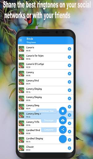 Bird Ringtones For Android Phone screenshot 3
