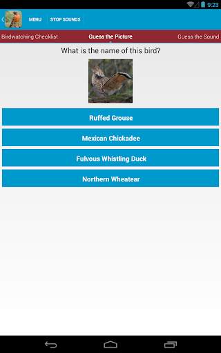 North American Birds Free screenshot 12