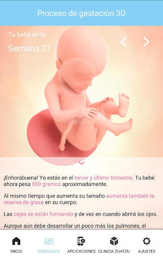 Tu Embarazo screenshot 2
