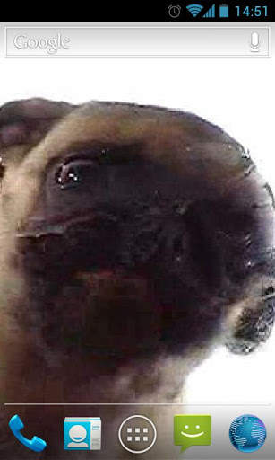 Dog Licker Live Wallpaper FREE screenshot 2