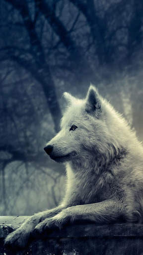 Wolf Wallpaper screenshot 9