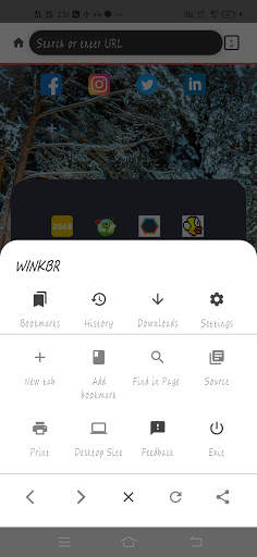 Winkbr Browser: Fast, Private & Secure screenshot 2
