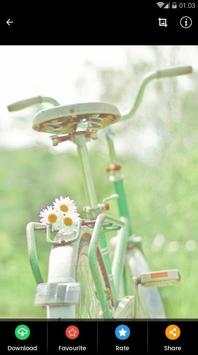 Wallpaper Beach Cruiser screenshot 8