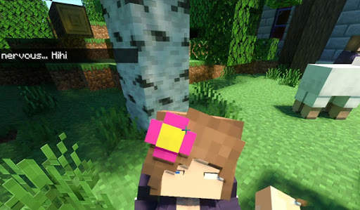 Jenny Mod for Minecraft screenshot 2